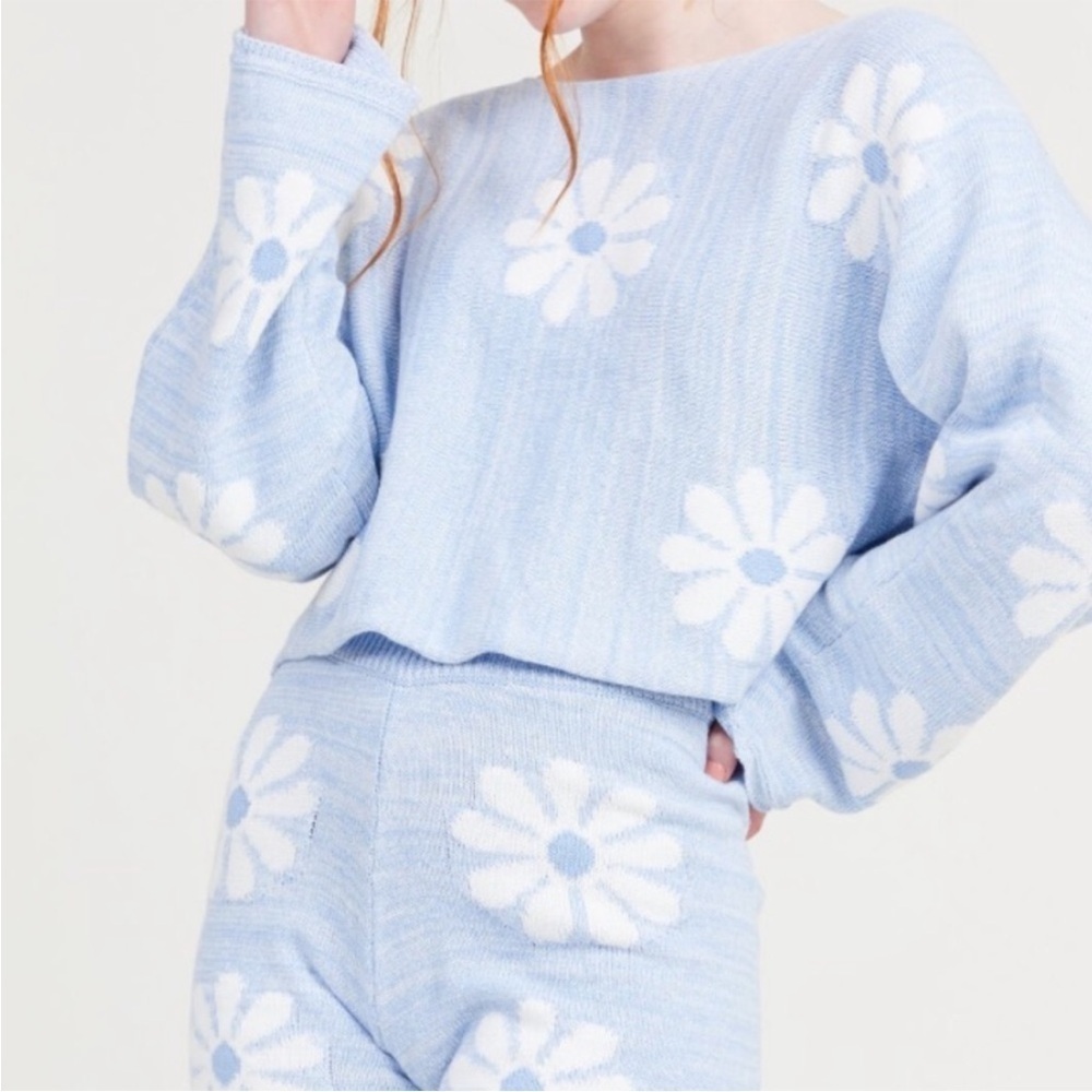 Altar'd State Daisy Blue Cropped Knit Sweater Top – Size Small